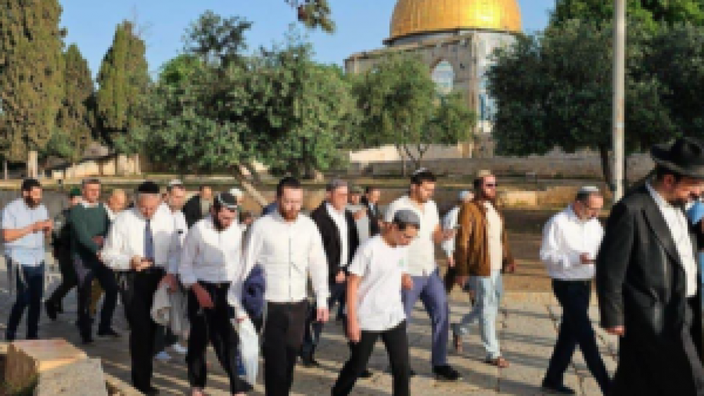 174 colonos israelies asaltaron este martes la mezquita de Al-Aqsa