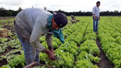 RENATRE sube la prestaci�n por desempleo a trabajadores rurales y supera los $350 mil