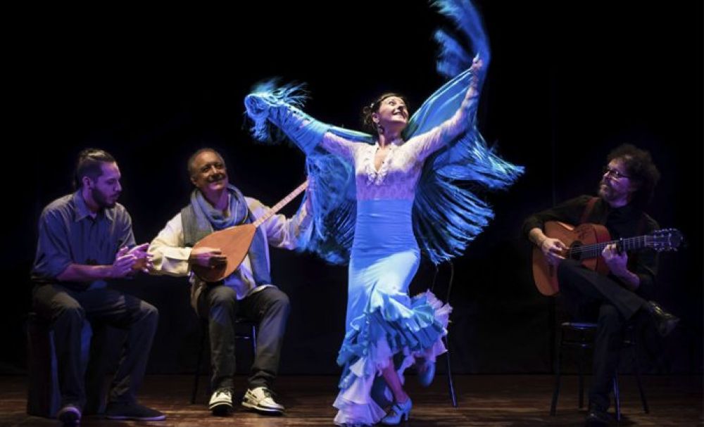 Gran variedad de actividades en la agenda de febrero