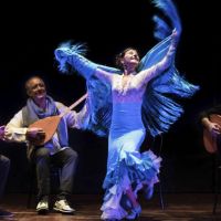 Gran variedad de actividades en la agenda de febrero