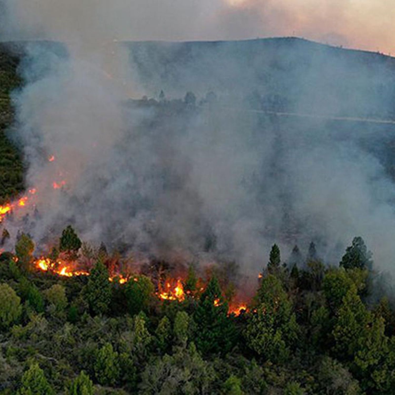 El Estado llega a la Patagonia tras 50 días de ausencia y fuego en una ...