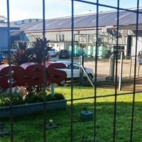 Crece la incertidumbre ante nuevos despidos en Dass: �Queremos saber cu�nto tiempo nos queda�