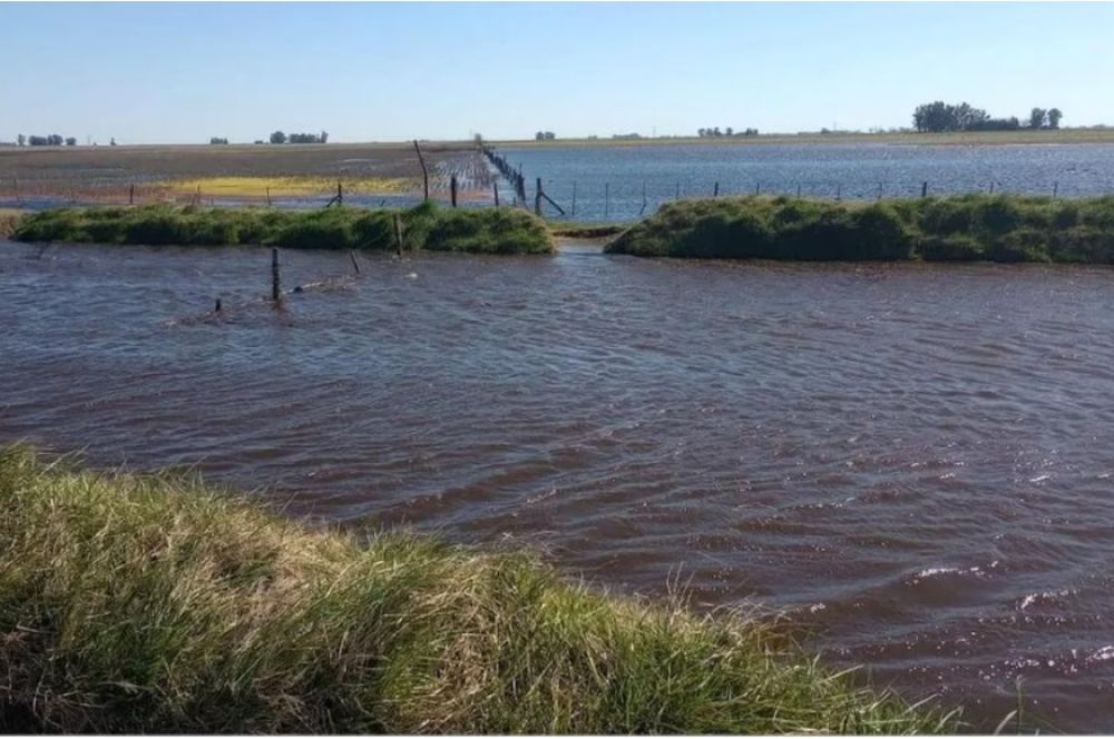 La Provincia va a fondo contra los canales clandestinos