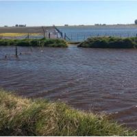 La Provincia va a fondo contra los canales clandestinos