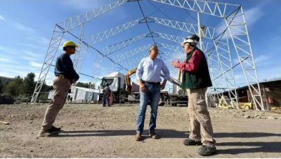 Neuqu�n transformar� la basura forestal en calefacci�n para familias de la Cordillera: �en que consiste el proyecto?