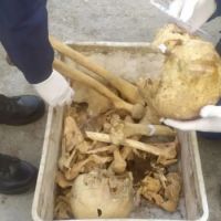 Los cr�neos del GIRSU podr�an ser s�lo material de estudio medico