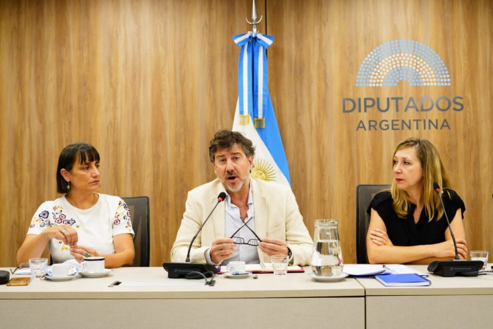 En Diputados, especialistas en Derecho del Trabajo alertaron sobre los riesgos de la reforma laboral: �ninguna reforma que rebaj� derechos consigui� aumentar el empleo�