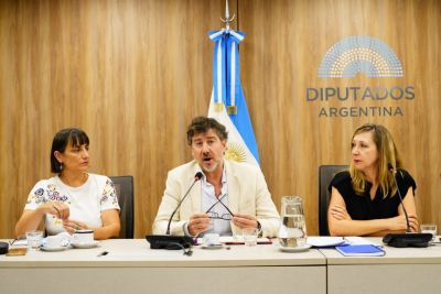 En Diputados, especialistas en Derecho del Trabajo alertaron sobre los riesgos de la reforma laboral: �ninguna reforma que rebaj� derechos consigui� aumentar el empleo�