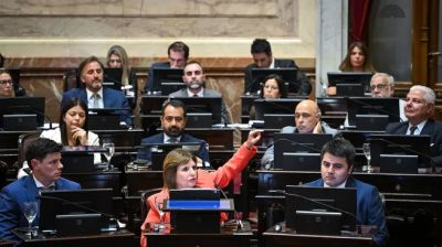 Con apoyo de radicales y gobernadores aliados, el Gobierno aprob� la reforma laboral en el Senado