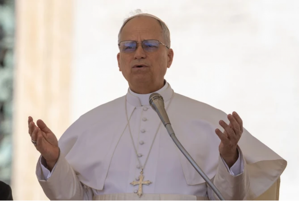 Le�n XIV: La guerra es el atentado m�s absurdo del hombre contra la vida y la salud p�blica