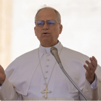 Le�n XIV: La guerra es el atentado m�s absurdo del hombre contra la vida y la salud p�blica