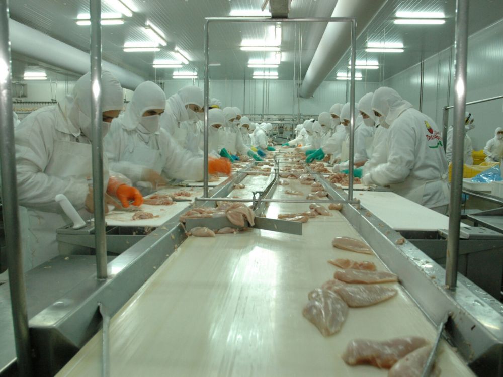 Granja Tres Arroyos, el mayor frigor�fico av�cola del pa�s, al borde del cierre por la importaci�n de pollo brasile�o: 450 puestos de trabajo en riesgo