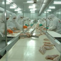 Granja Tres Arroyos, el mayor frigor�fico av�cola del pa�s, al borde del cierre por la importaci�n de pollo brasile�o: 450 puestos de trabajo en riesgo