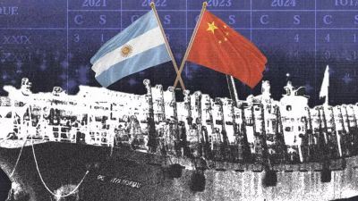 �Argenchinos�: Argentina permite que barcos controlados por empresas chinas pesquen sin observadores y violen la ley