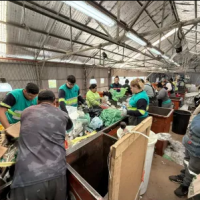 Mendoza reglament� la Ley Girsu: multas, nuevos registros y el fin de los basurales