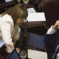 Con votos peronistas, el Senado aprob� la reforma que flexibiliza la Ley de Glaciares