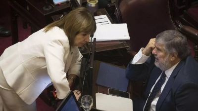 Con votos peronistas, el Senado aprob� la reforma que flexibiliza la Ley de Glaciares