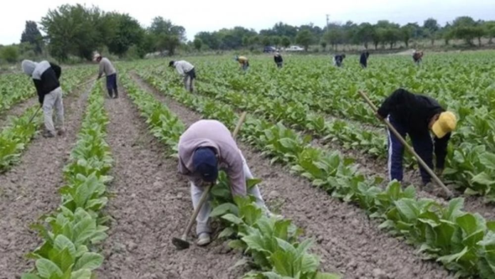 RENATRE ajusta los montos de la prestaci�n por desempleo rural y supera los $360  mil