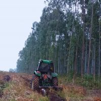 Condenan a un empresario a ocho a�os y a un capataz a tres a�os de prisi�n por explotar trabajadores en un campo de Entre R�os