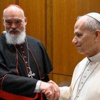 Cardenal de Teher�n se re�ne con el Papa Le�n XIV tras ser evacuado de Ir�n