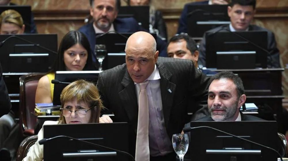 Batalla en el Senado: La Libertad Avanza y el PJ se disputan terreno en las comisiones