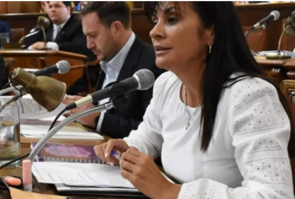 Pol�mica en Concordia: concejal sugiri� que la Municipalidad ya otorg� la concesi�n de la recolecci�n de residuos