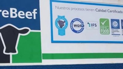 China bloquea las exportaciones del frigor�fico ArreBeef por encontrar residuos de f�rmacos en la carne