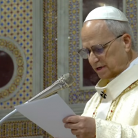 Le�n XIV: El amor de Cristo es gesto y alimento, purifica de las idolatr�as y blasfemias