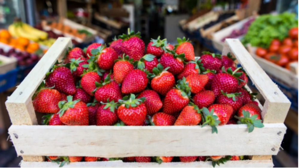Advierten que el 99 por ciento de las frutillas analizadas en varios estudios presentan residuos de pesticidas