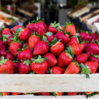 Advierten que el 99 por ciento de las frutillas analizadas en varios estudios presentan residuos de pesticidas