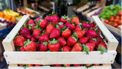 Advierten que el 99 por ciento de las frutillas analizadas en varios estudios presentan residuos de pesticidas