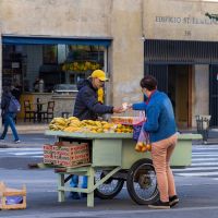 Obvio: la informalidad laboral subi� a 43% en el �ltimo trimestre de 2025