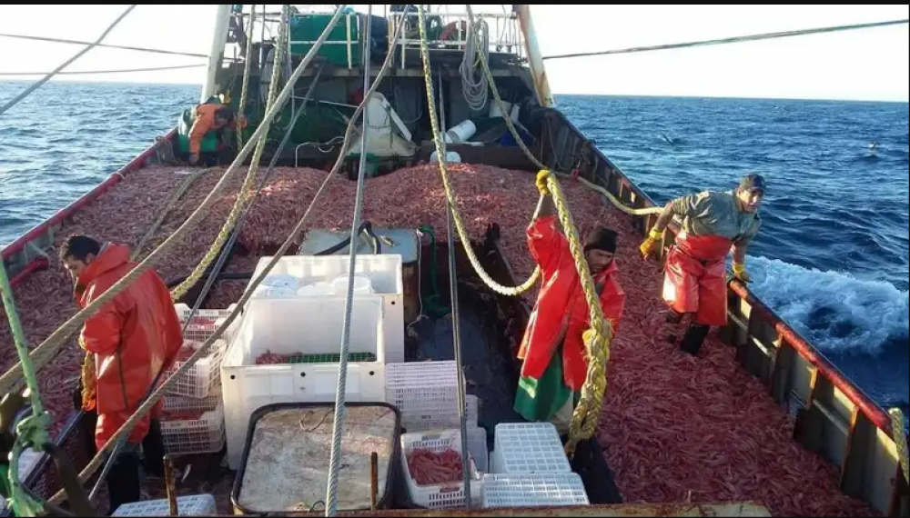 SICONARA rechaz� intento de realizar �acuerdos privados� por fuera de convenio colectivo