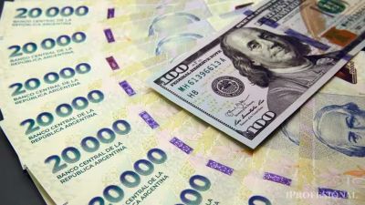 Los sueldos y una paradoja: cae el poder de compra en pesos, pero medidos en d�lares no paran de crecer