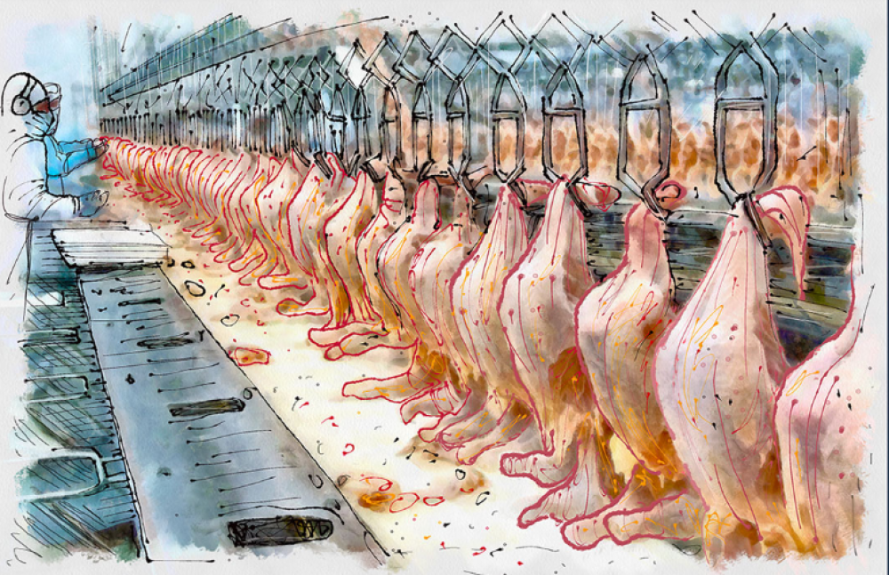 Uruguay: Otra tragedia evitable