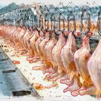 Uruguay: Otra tragedia evitable