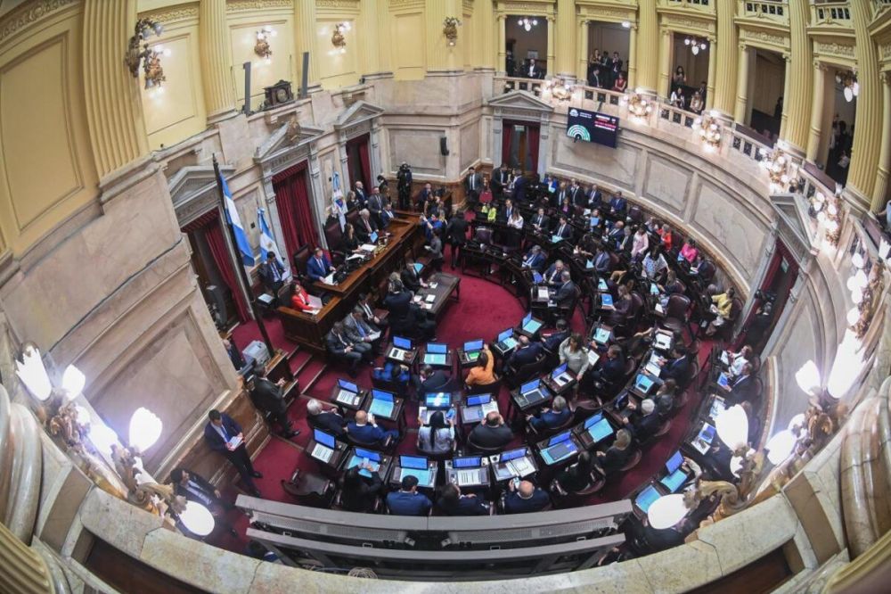 Reforma pol�tica: ingres� el proyecto mile�sta en el Senado y la oposici�n asegura que es otra maniobra de distracci�n