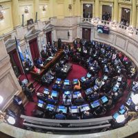 Reforma pol�tica: ingres� el proyecto mile�sta en el Senado y la oposici�n asegura que es otra maniobra de distracci�n