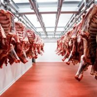 El precio de exportaci�n de la carne alcanz� en el primer trimestre un r�cord hist�rico