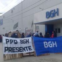 BGH paraliza la producci�n en R�o Grande y crece la incertidumbre por 1.000 empleos