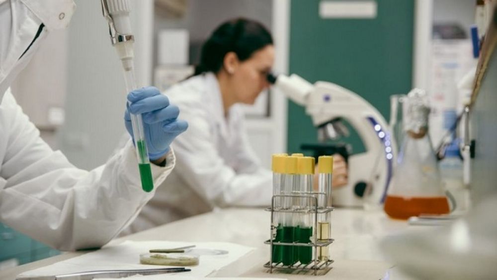 En el sistema cient�fico argentino se destruyeron 8 puestos de trabajo por d�a desde que asumi� Milei
