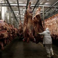 Diez cuadras bajo la lluvia y colas desde la noche: dos mil personas se postularon para buscar trabajo en un frigor�fico de Moreno