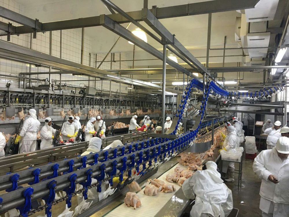 Granja Tres Arroyos no puede pagar los salarios y los operarios paralizan las instalaciones de Wade, la hist�rica planta ex Cresta Roja