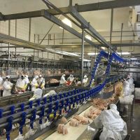 Granja Tres Arroyos no puede pagar los salarios y los operarios paralizan las instalaciones de Wade, la hist�rica planta ex Cresta Roja