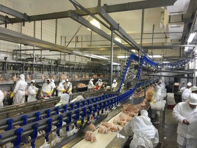 Granja Tres Arroyos no puede pagar los salarios y los operarios paralizan las instalaciones de Wade, la hist�rica planta ex Cresta Roja
