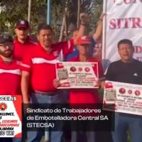 Guatemala � Panam�: El grito combativo del STECSA