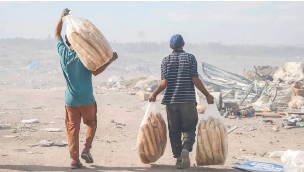 El proyecto rionegrino que busca unificar cinco basureros y crear cooperativas con recicladores