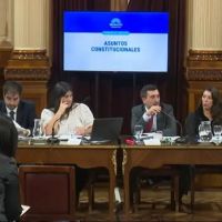 Arranc� el debate y el oficialismo no tendr�a los votos para eliminar las PASO