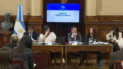 Arranc� el debate y el oficialismo no tendr�a los votos para eliminar las PASO