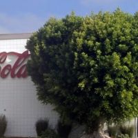 Confirmado: tras 144 a�os cierra para siempre una planta de Coca-Cola y afectar� a 85 trabajadores